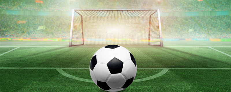 他们的名字 他们的名字