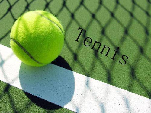 在这场比赛 在这场比赛