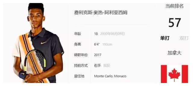 高成功率盗